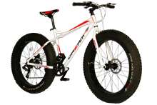 Dream Fatbike