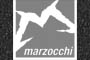 Tenneco Marzocchi - Sospensioni e ammortizzatori